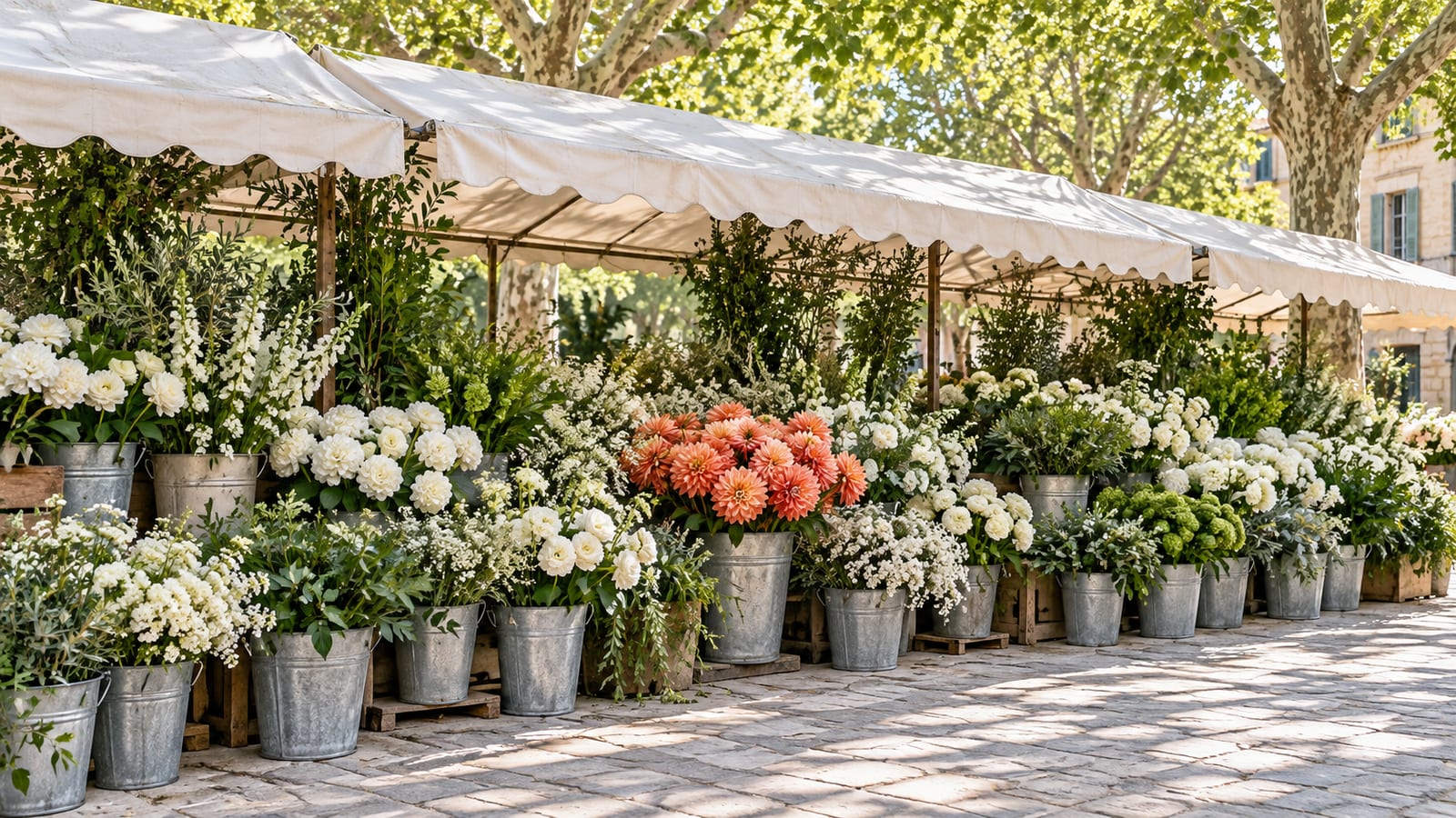 Un mercado de flores al aire libre con un toldo blanco compartido, cubos de zinc llenos de flores blancas y verdes y un cubo de dalias color coral en el centro.